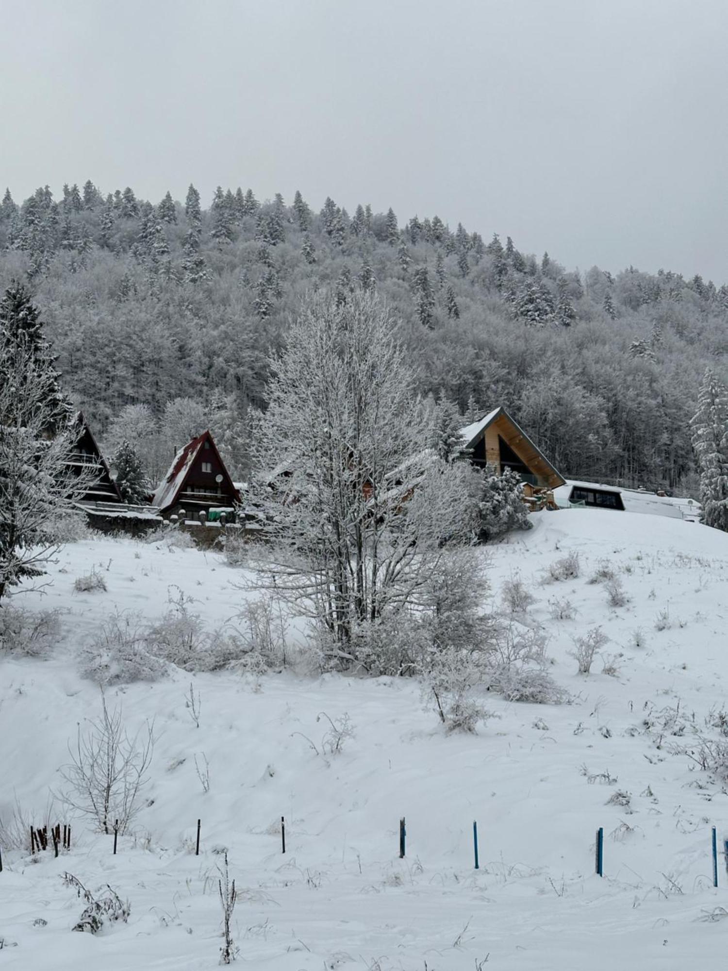 Apartman Forest View Donovaly Exterior photo