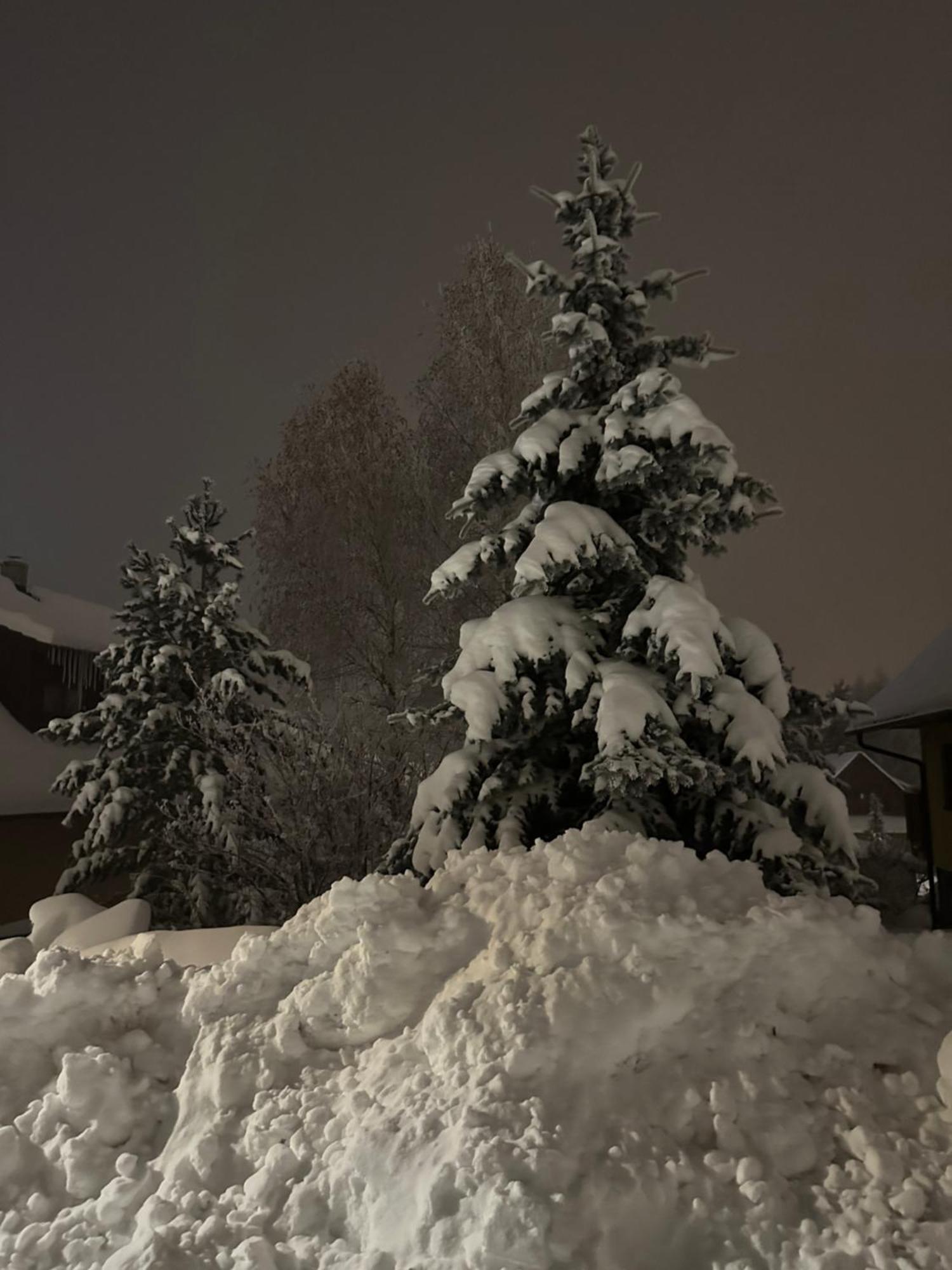 Apartman Forest View Donovaly Exterior photo